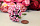 Тычинки для цветов "зелень аралии", букетик 12 шт (25080 розовый)